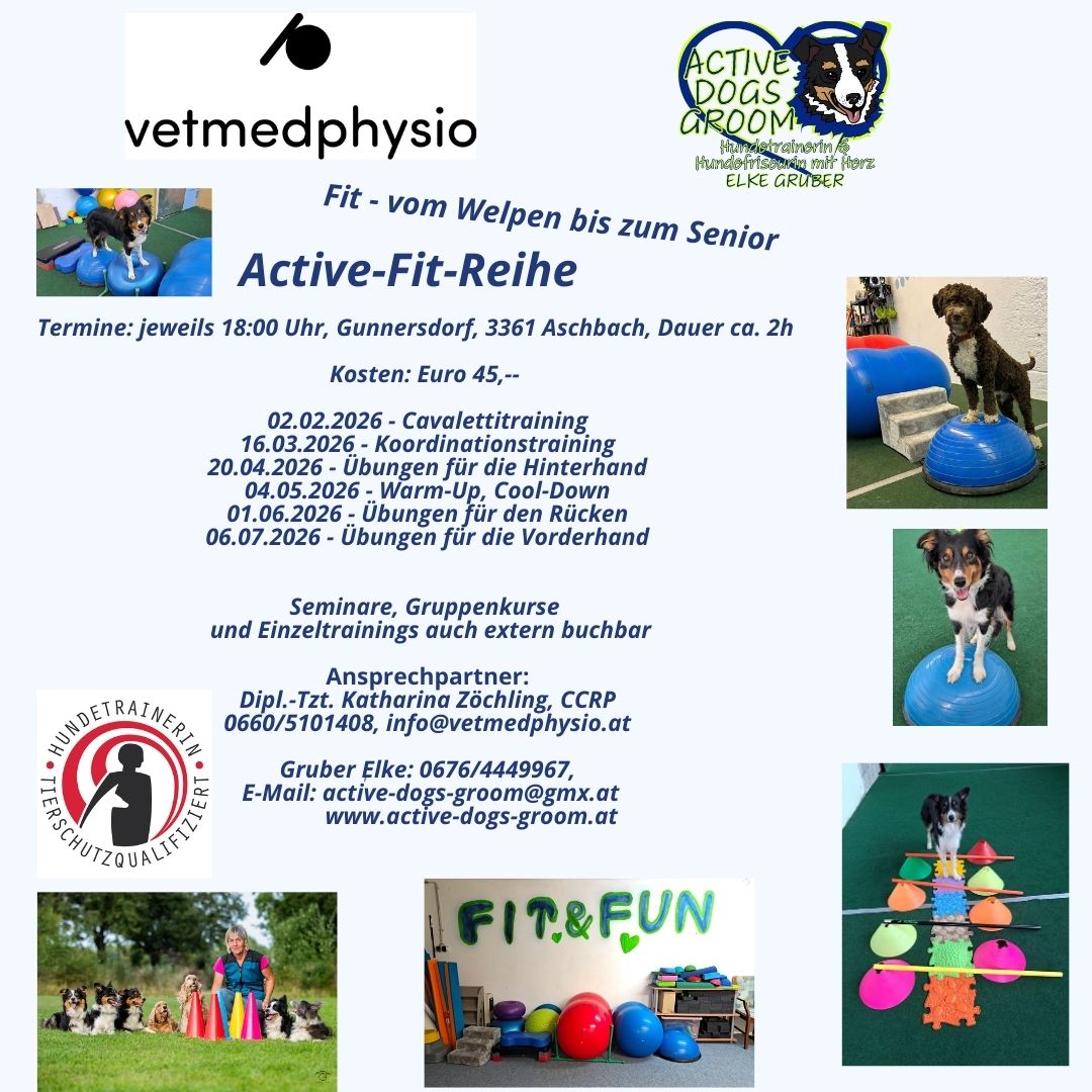 Kopie von Blue Simple Dog Instagram Post (26)