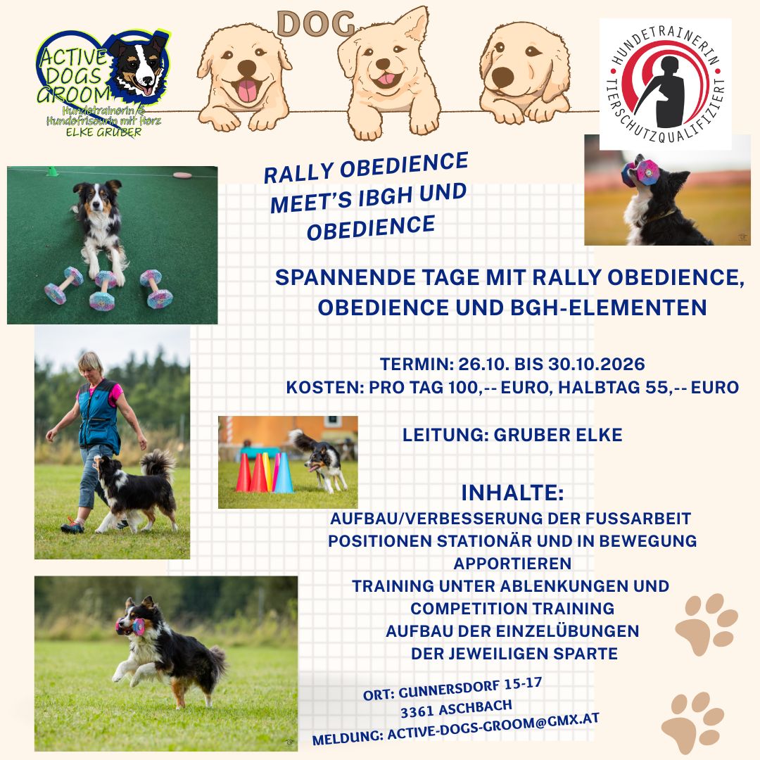 Kopie von Blue Simple Dog Instagram Post (28)