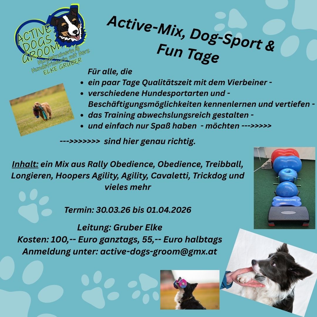 Kopie von Kopie von Blue Simple Dog Instagram Post (10)