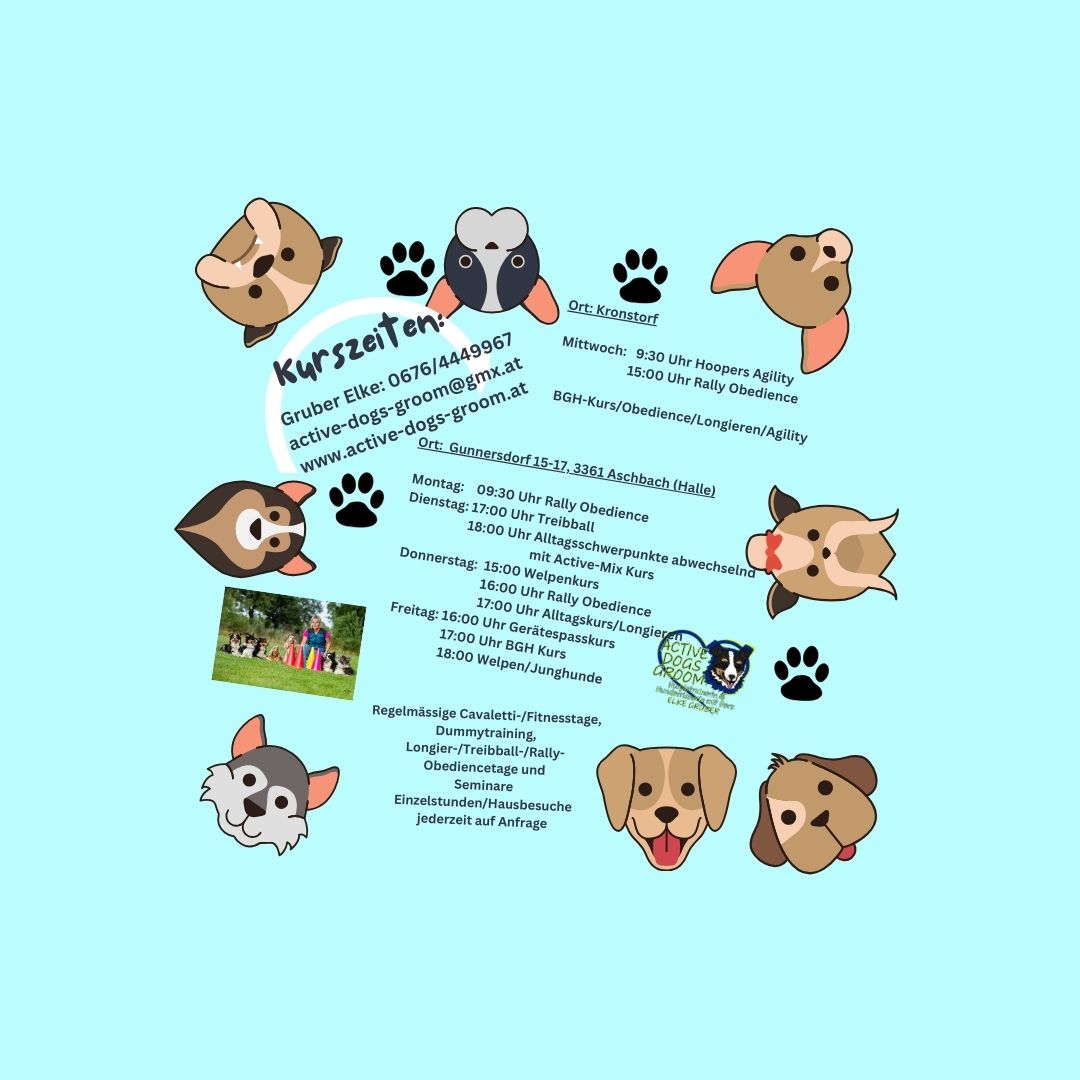 Kopie von Kopie von Blue Simple Dog Instagram Post (3)