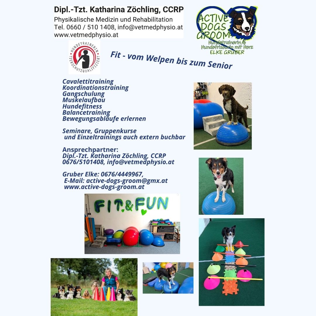 Kopie von Kopie von Blue Simple Dog Instagram Post (4)