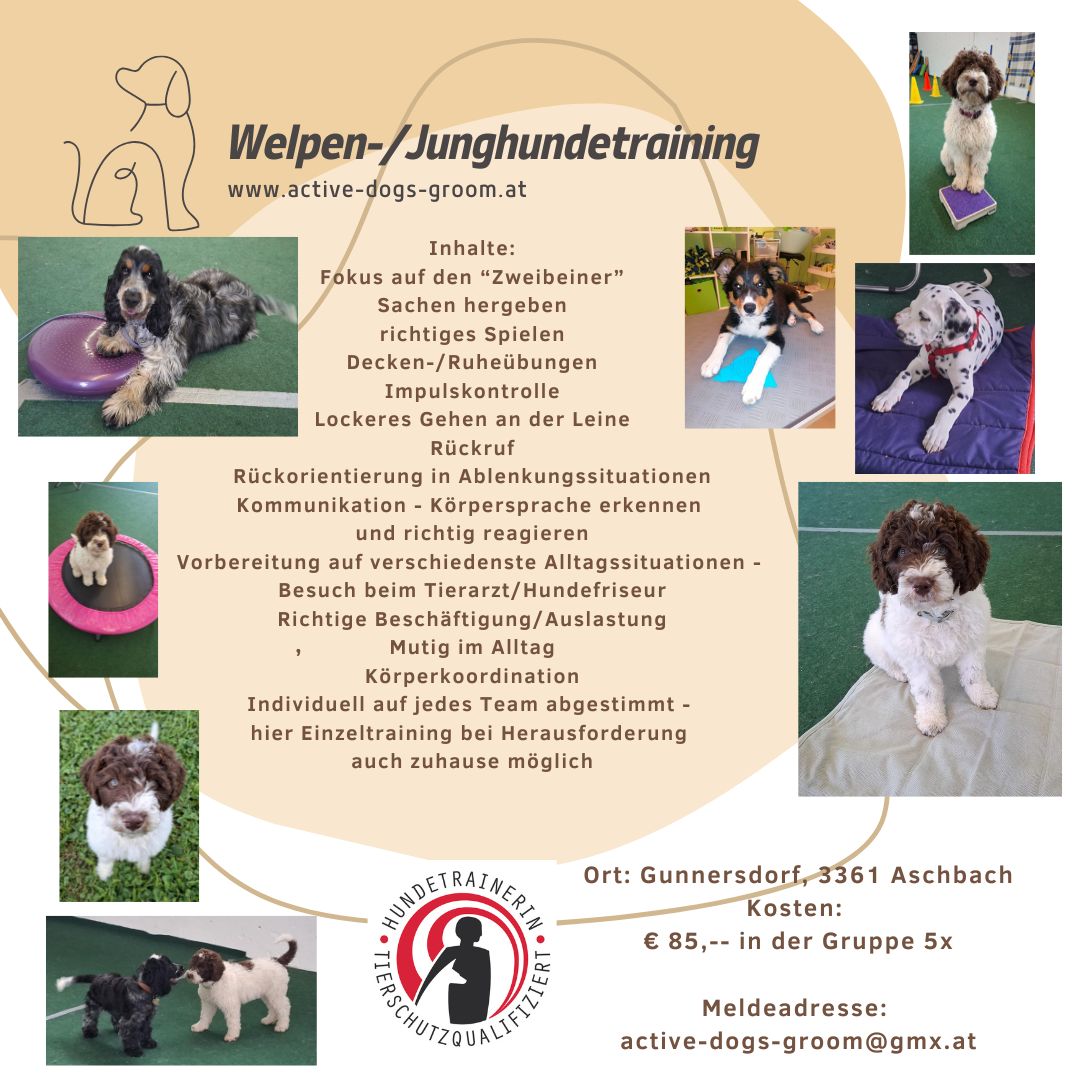 Kopie von Kopie von Blue Simple Dog Instagram Post (7)