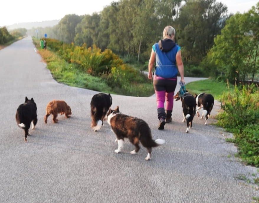 b8bd2378-5d61-49ef-bfe4-c010b72770e2